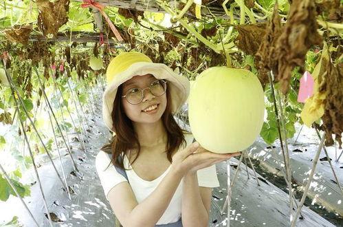 吃瓜网51官网版 吃瓜黑料精品一区,黑料精品一区独家内容大曝光